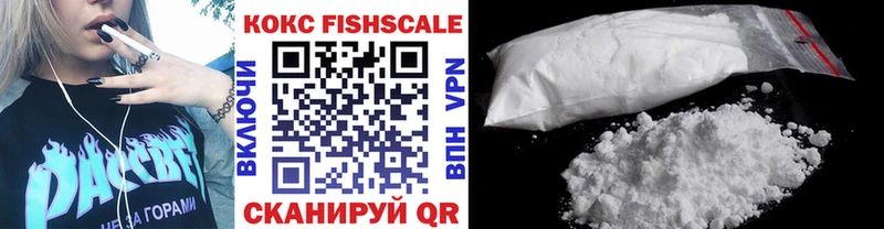 сколько стоит  МЕГА   Кокаин FishScale  Дедовск 
