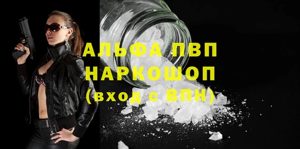 стаф Бородино