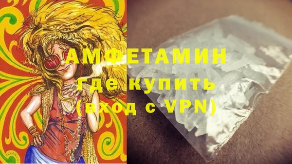стаф Бородино