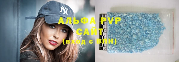 стаф Бородино