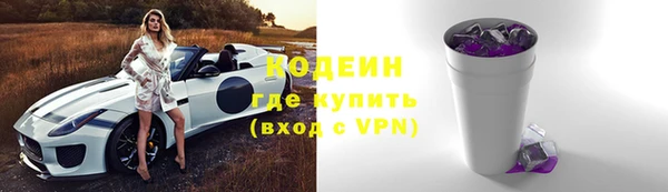 стаф Бородино