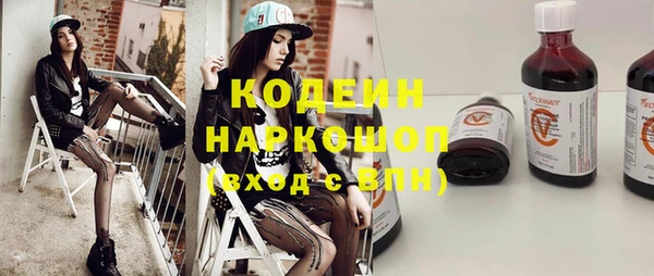 стаф Бородино