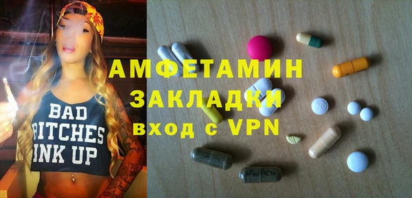 стаф Бородино