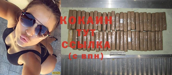 стаф Бородино