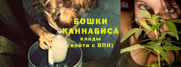 стаф Бородино